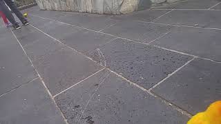 오월드 버드랜드 앵무새 먹이주기체험