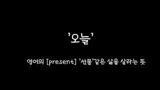 청금강 앵무새 '오늘이'가 자유비행을 하기까지...