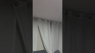 커튼 속 앵무새