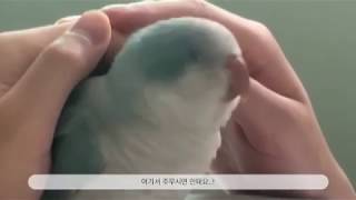 긁어 이자식아.