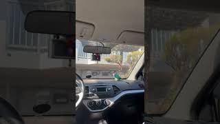 산책하기 #구독 #귀여운 #앵무새 #앵무새키우기 #좋아…