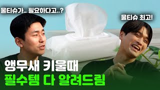 앵무새 키울때 필요한 용품 다 알려드립니다