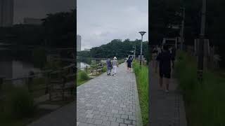 청금강 자유비행~