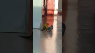 썬코뉴어  퀘이커 함께 살기