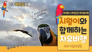 [앵무새 자유비행] 청금강 시월이 세종시