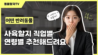 반려동물 추천 해드릴게요 #햄스터키우기 #앵무새 #코뉴…