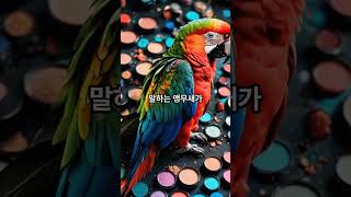 [마케팅]앵무새 화장 어떻게 하나!