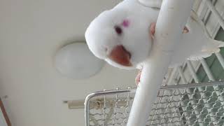 모두잠든후에..(잠자리로 옮겨주었어요)