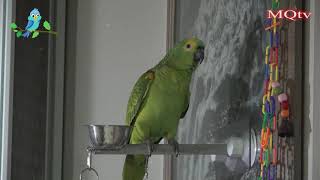 잠뜨리/ 뽀뽀뽀 노래하다 말고 ? 욕하는 잠뜨리 너너?