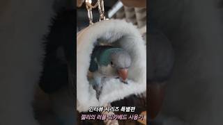 Real Interview 시리즈 특별편️오늘은 귀여운…