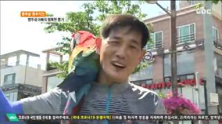 앵무새와의 행복한 동거 [20200703 ubc울산방송…