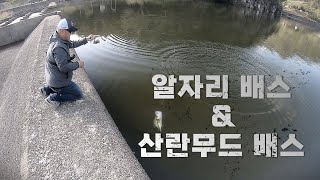 [박기현의 피싱로그99.9] #101 알자리 배스와 산…