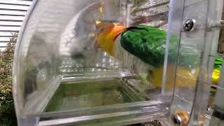 And here is today's last set o…