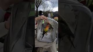 #봄#나들이#썬코뉴어