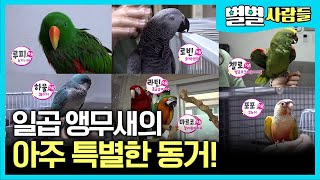 하루도 조용할 날이 없는 일곱 앵무새와의 아주 특별한 동거! [ 별별사람들 ] 20210522