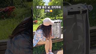 햇살 좋은 날, 코카투와 산책 #앵무새 #앵무새키우기 #코카투