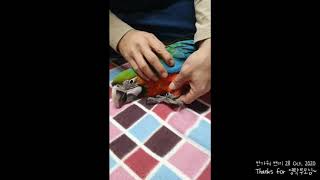 할리퀸마카우 쁘띠 반가워~