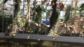 썬 코뉴어 활공 