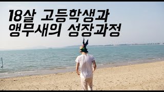 감동스러운 아기 앵무새 6개월 간ᄋ…