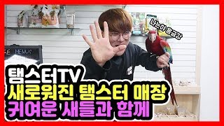 탬스터 새롭게 바뀐 이색동물샵&카페  구경해보즈아!! 나만따라와~~~~~