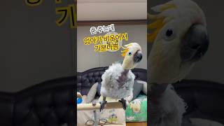 오후의 비타롬  #다시보고싶은영상