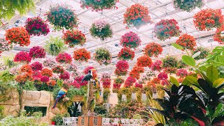 2018 대전오월드 버드랜드, 가을꽃축제