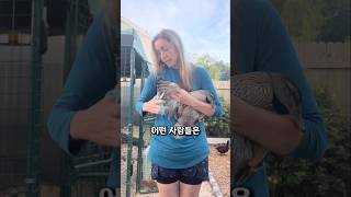 왜 멀쩡한 날개 잘라버리냐고?!?!?