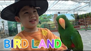 대전 오월드 버드랜드