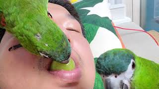 꽁패.한스마카우.뽀미.한나.티격태격.2021.9.20