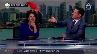 생방송 습격한 홍따오기