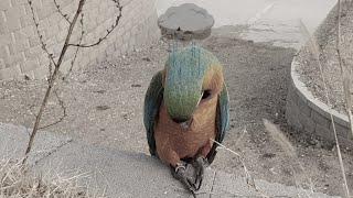 ''아빠 말을 믿은 내 잘못이지''