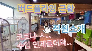 버드플라잉(조류원 일상)#코로나..ㅅ...