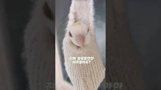 진짜.. 심장 철렁했던 썰.. 해프닝! 럭키 땜에 몬살…