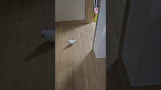 왔소! 됏소!!^^  내게로 왔소! 그라믄 됏소!ㅎㅎ …