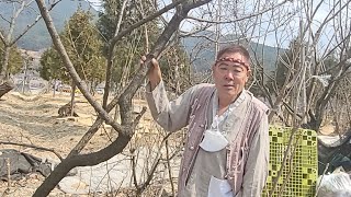 이재주품바 ❤️ 3월 12일  대구 송해  공원 왔어요…