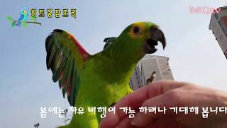 (Amazon) 자유비행연습  끝나고   꼬박 꼬박  …