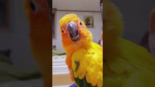 아무튼 화가난 썬코뉴어