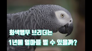앵무새 브리더 회색앵무 번식 농장 창업 수익성 논문 분…