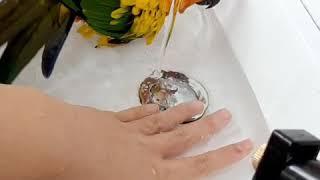 썬코뉴어 목욕을 할뿐인 영상