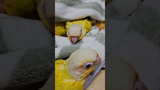 자리가 부족해~ㅠ                     …