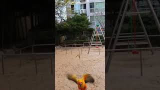 썬코뉴어 야외 호출 훈련 2번째입니다