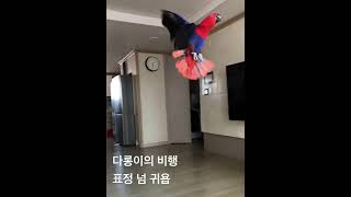 비행선수 앵무새 다롱이의 그네 오르기