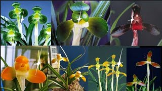 2월15일 오늘은 명명품 화예품 위주로 준비했습니다