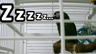 집사야~~ 방 불좀 꺼주라~