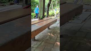 초롱♡연두 #코뉴어 #반려조 #parrot #화난 초롱…