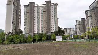 흥이 가득 할리퀸마카우 루카