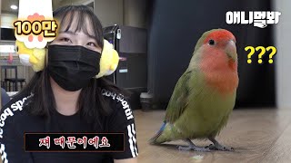 역시 동물농장 앵무새는 화가 나있어야 제 맛 l How…