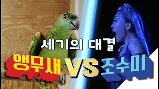 노래하는 앵무새 조수미를 보러 버드펠리스로 오세요