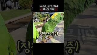 사람말로 충격멕이네 서러워서 징징징 #아랑이 #parr…