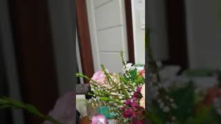 꽃이 신기한 썬코뉴어